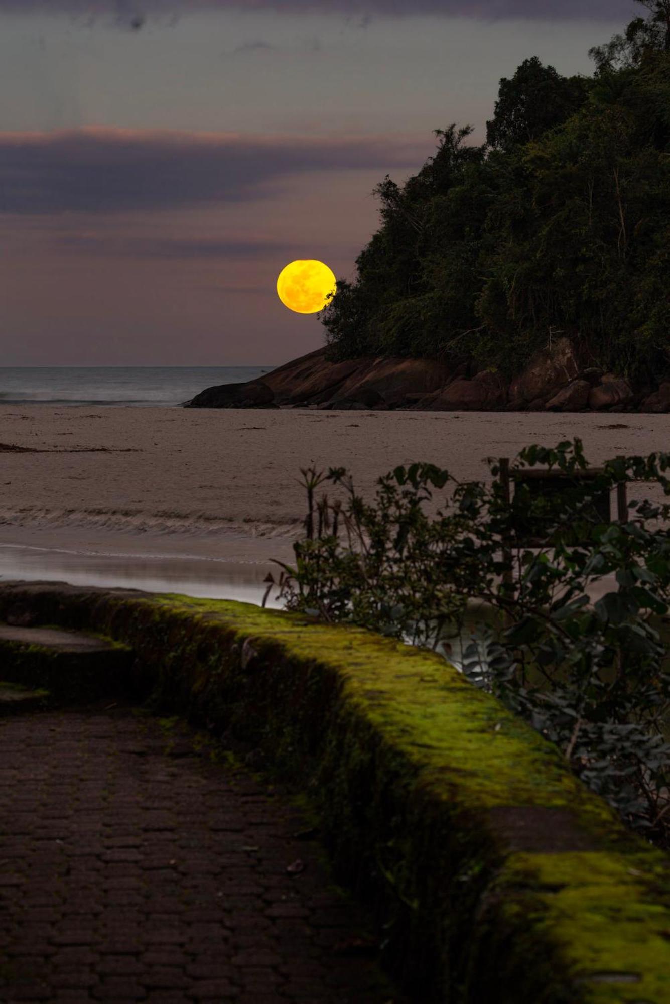Itamambuca Eco Resort Ubatuba Exterior foto